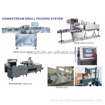 Small automatic tea bag packing machine